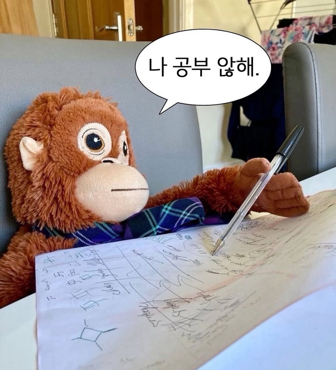 potato_ochip's tweet photo. @wow_ohwow04 정말… 솜만 하고 살고 시풔요 https://t.co/xDM0DWsYNM