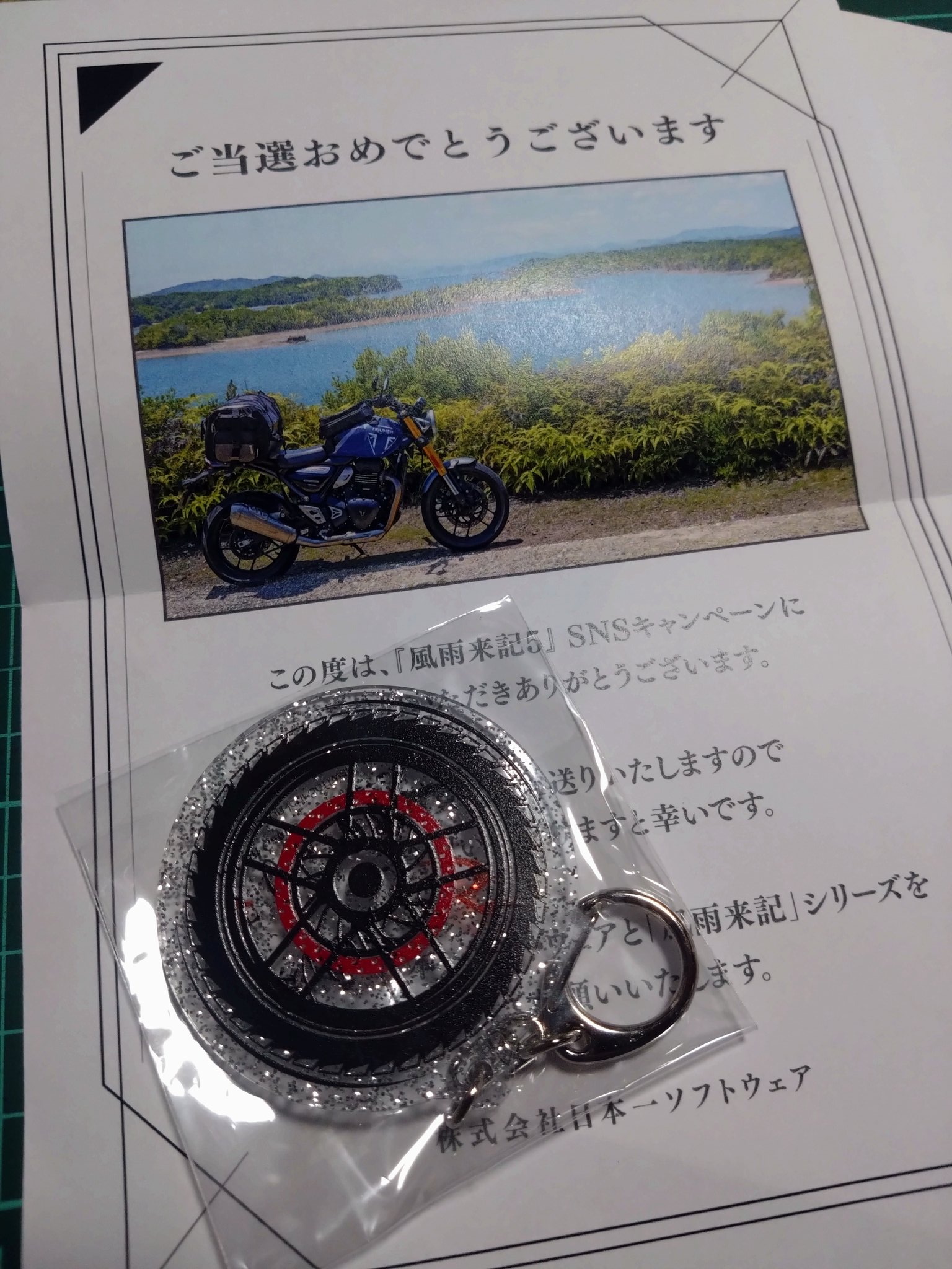じゅんさん専用。 純プラチナ コイン ペンダントトップ ネックレス ペンダント