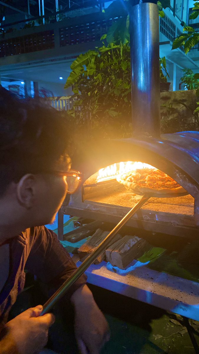 🏰🪸 tweet media