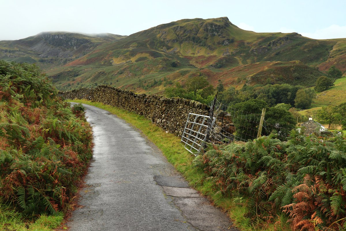 High Rigg this morning, not too wet and not too windy.