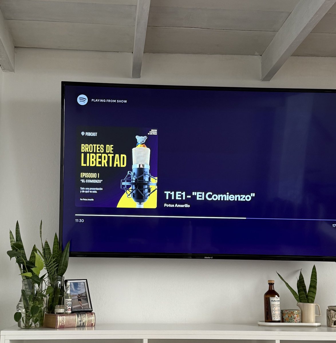 Hoy le conocí la voz a <a href="/PotusAmarillo/">Potus Amarillo</a> 💛 Me sentí muy identificada, toda mi vida luché por sentirme más libre. Larga vida a este Podcast 🫶🏽