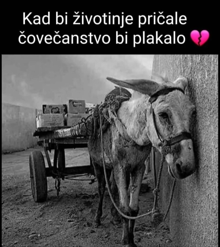 😢💔