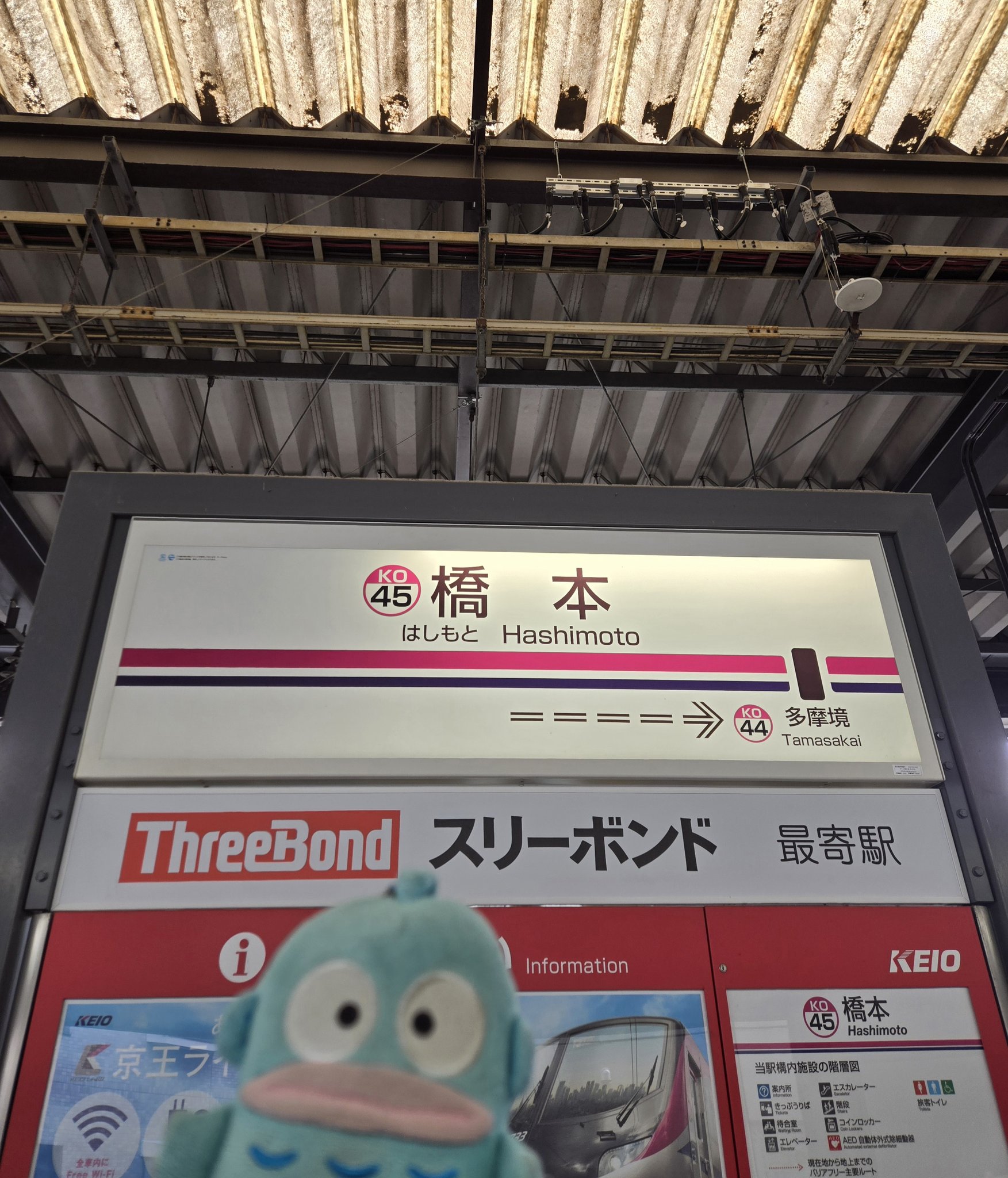 ブラハンギョ(非公式) #Hangyodon on X: 