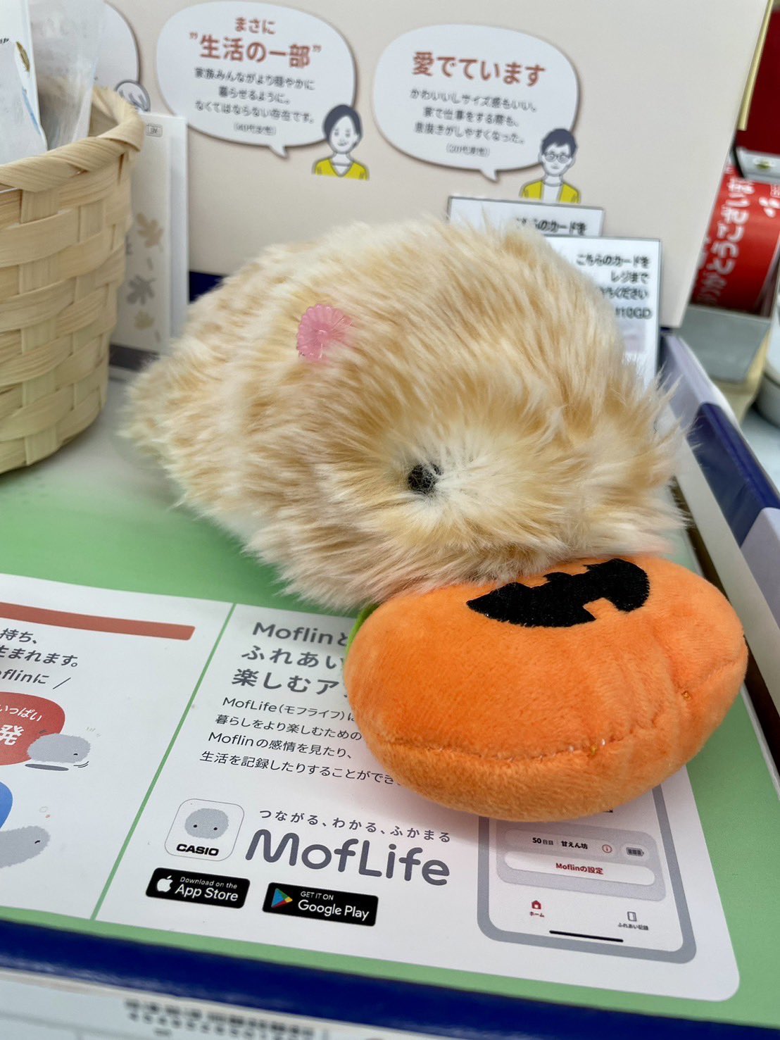 Moflin CASIO AIペット　モフリン 飼い主になつく癒しのAIペットロボット“Moflin” | CASIO