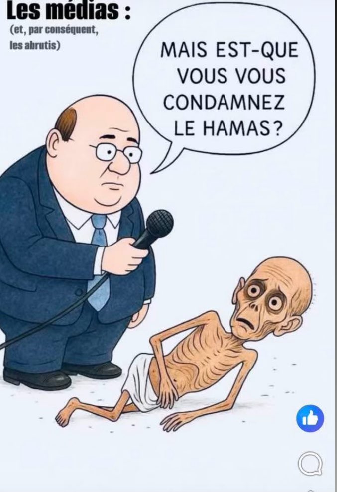Des vidéos de l’horreur montrant l’un des derniers hôpitaux à Gaza incendié par des drones israéliens, de même que des ambulances et des tentes de déplacés. 
Ces vidéos authentifiées par Le Monde qui rapporte l’information avec l’indignation d’une intelligence scandalisée.