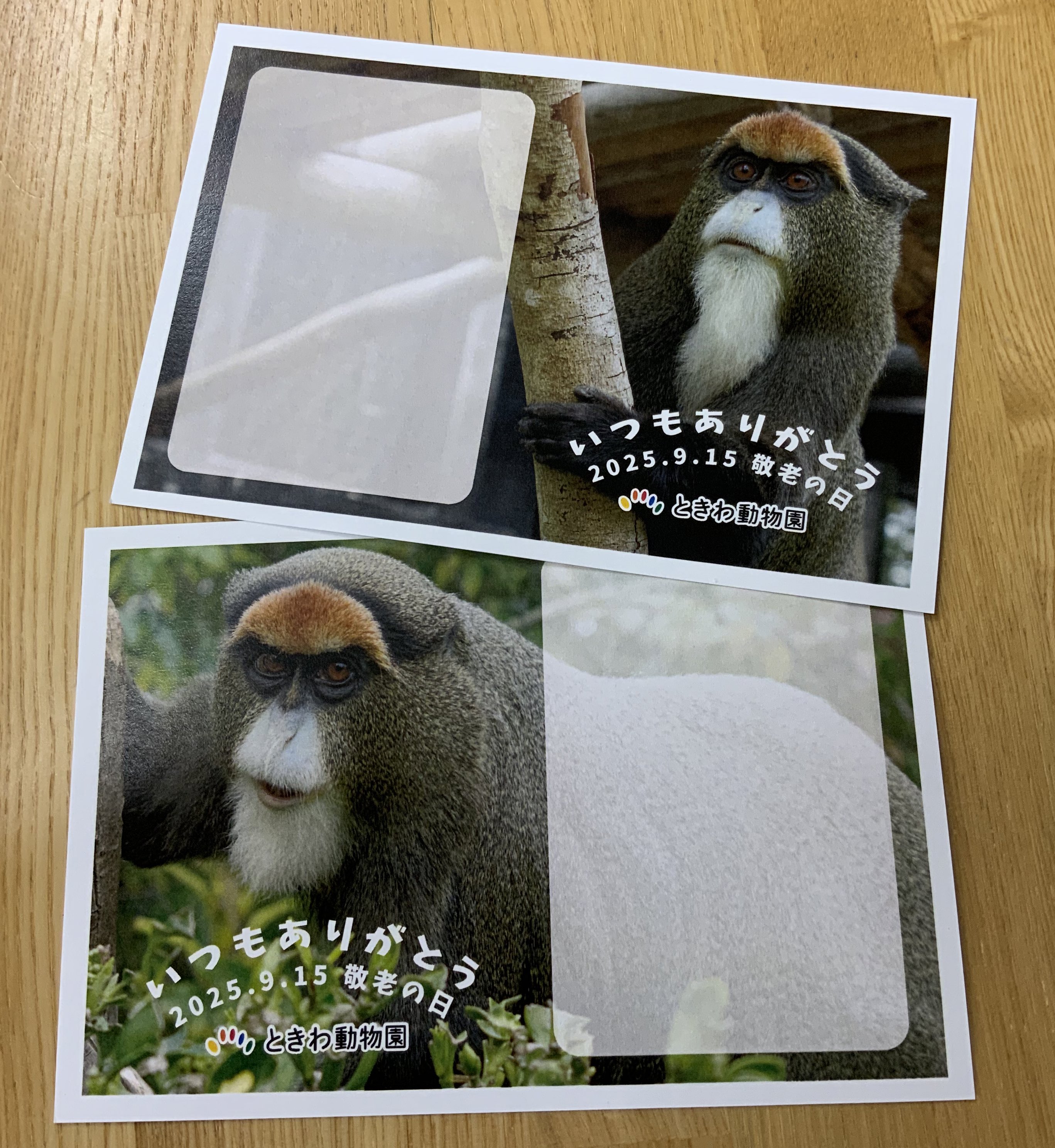 【超希少】うさまる BRUNO クラウドクロック メキシカン お化け屋敷 ピエ〜 mecu_bcw034