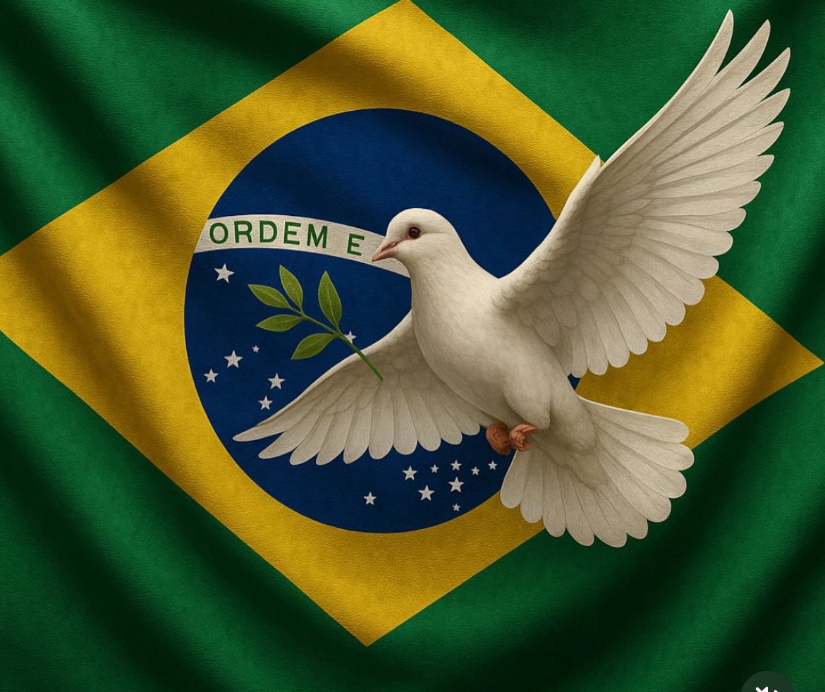 Bom dia Brasil! gratidão por mais um dia 🙏🏼um ótimo domingo a todos.
