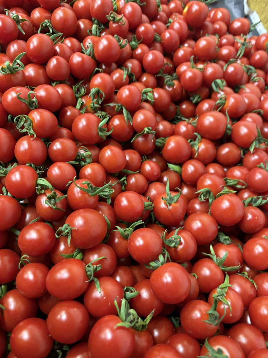 chito85314100's tweet photo. 赤くて美味し
ミニトマト🍅
木で完熟だから
濃厚で甘くて最高👍

ご注文はお早めに！
美味しくて健康に良い
 #ミニトマト https://t.co/bnFtB48z9f