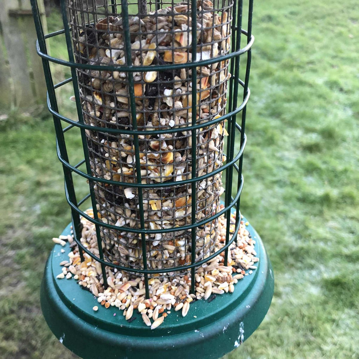 Cramlington & District Red Squirrel Group tweet media