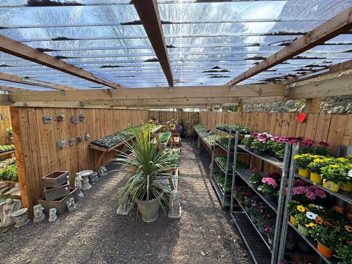 Cramlington & District Red Squirrel Group tweet media