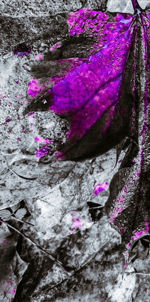 seaofpassion_'s tweet image. #emotions
#memory
#mind

Sometimes you have to look at life like this.