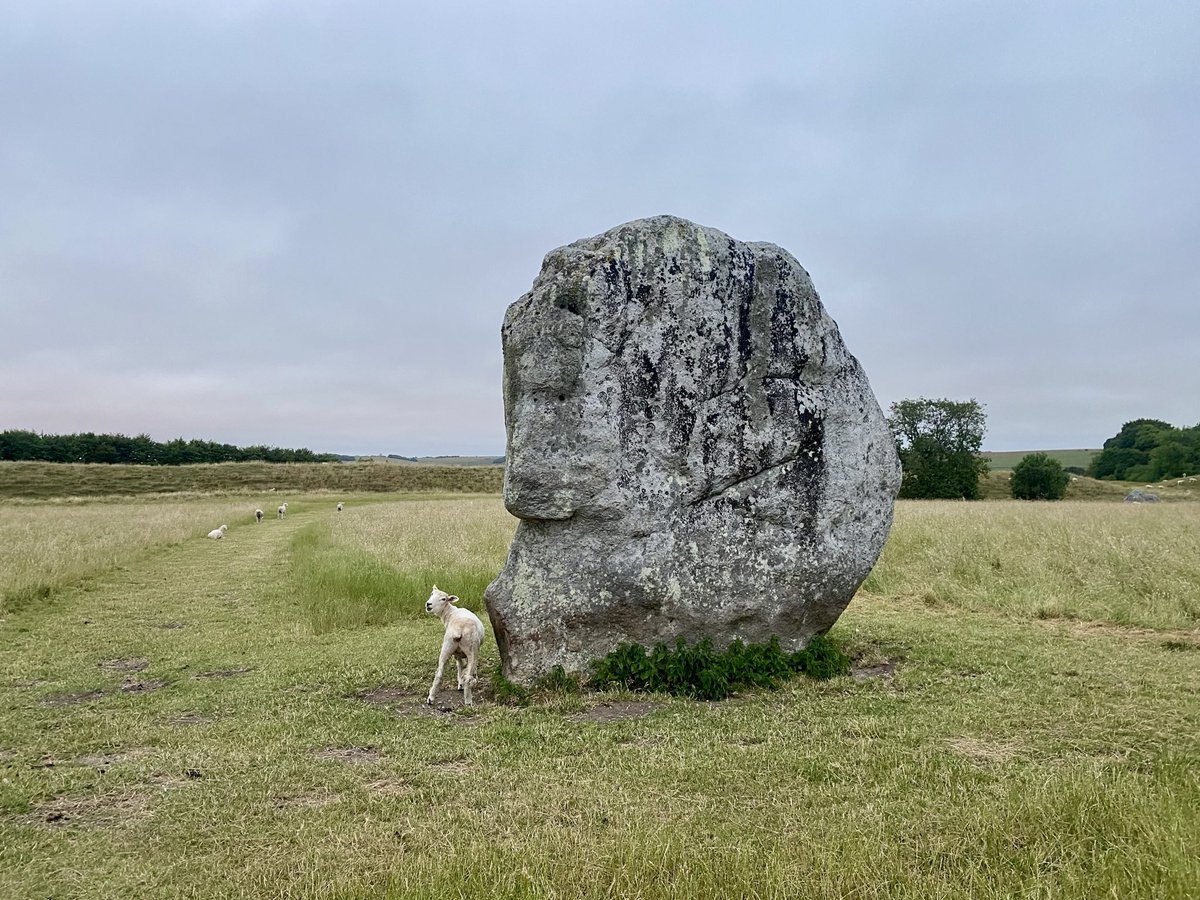 David Cook (@spiddly) on Twitter photo “This one’s mine, get your own. Plenty to choose from!”
#StandingStoneSunday “This one’s mine, get your own. Plenty to choose from!”
#StandingStoneSunday