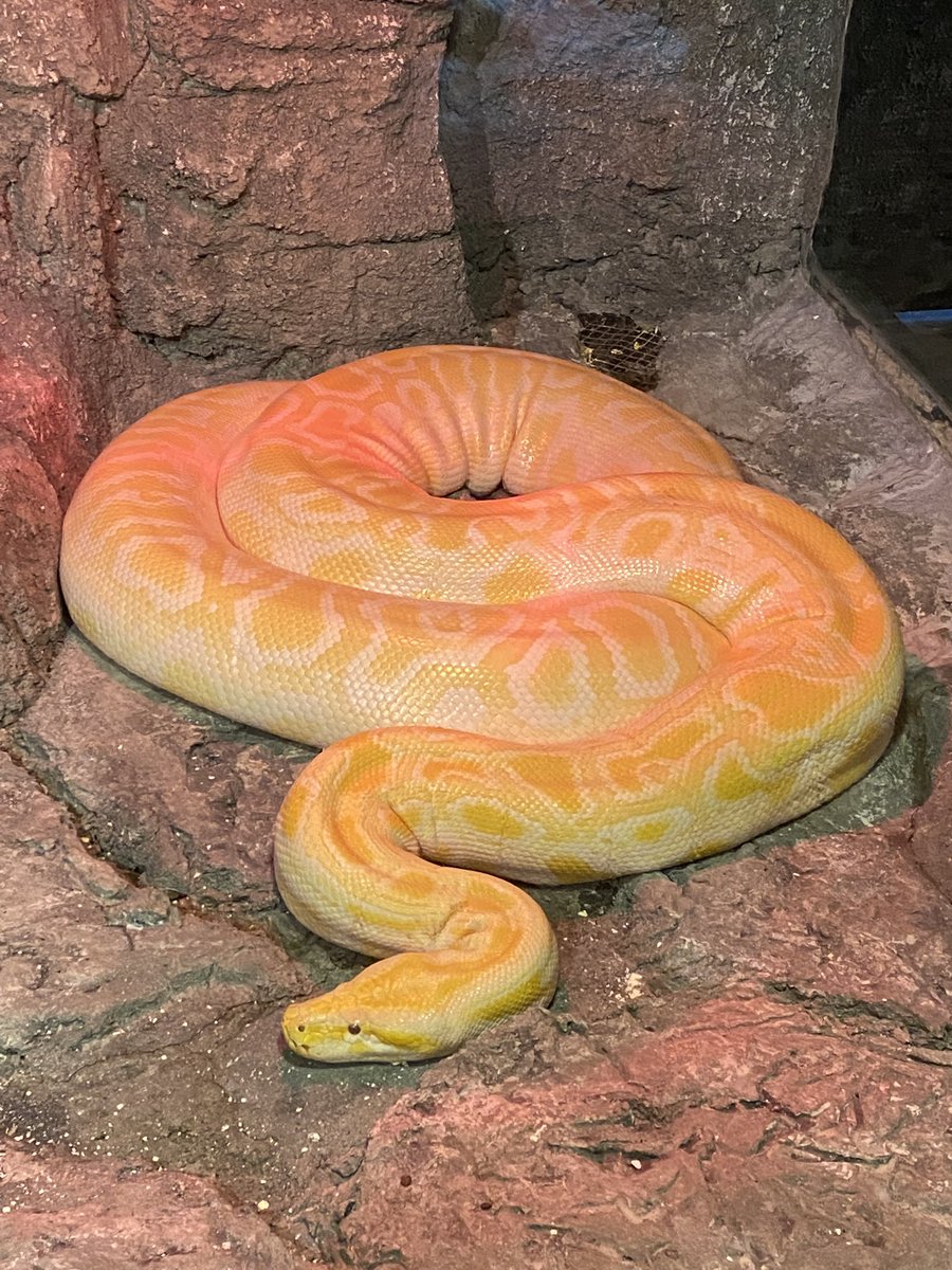 Nasılda usul usul yatıyo iki gözümün çiçeği :)