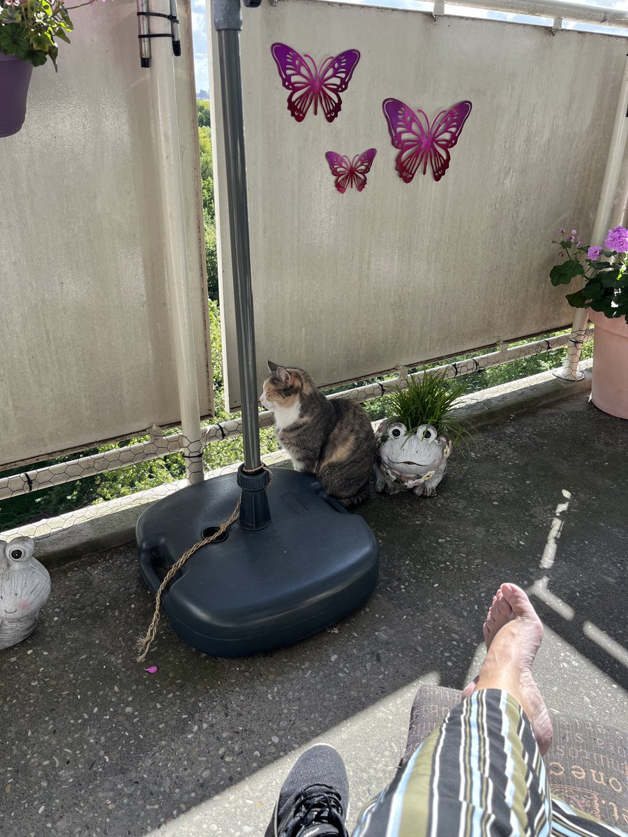 Nog ff genietere van ut sonnetje en sgaduwtje 😹 #teamzonaanbidders #genietvanjedag 🌤️😽