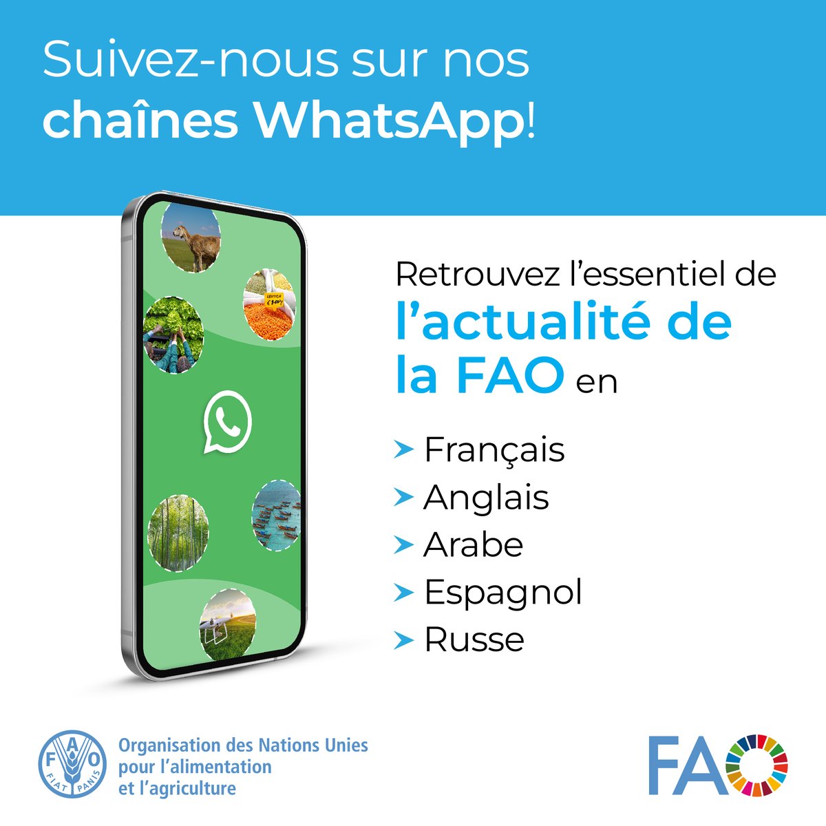🧐 Le saviez-vous ? Vous pouvez trouver les dernières actualités <a href="/FAO/">Food and Agriculture Organization</a> sur <a href="/WhatsApp/">WhatsApp</a> ! 

Rejoignez-nous👇

🟢Français: bit.ly/3YbiMc1
🟢Anglais: bit.ly/3BBpfEq 
🟢Arabe: bit.ly/3NjAfbW
🟢Espagnol: bit.ly/3NdxmJU
🟢Russe: bit.ly/4haKRIb