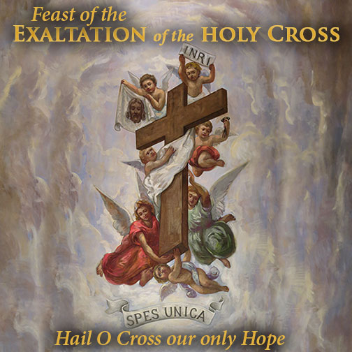 Catholic Action (@catholicactions) on Twitter photo 