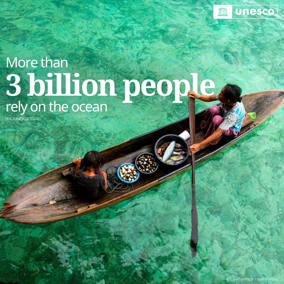 🌊 Over 3 billion people depend on the ocean for food—but overfishing and pollution threaten its future.

<a href="/UNESCO/">UNESCO 🏛️ #Education #Sciences #Culture 🇺🇳</a> works with communities to promote ocean literacy and sustainable use.

It’s time to act to #SaveOurOcean.

unesco.org/en/ocean