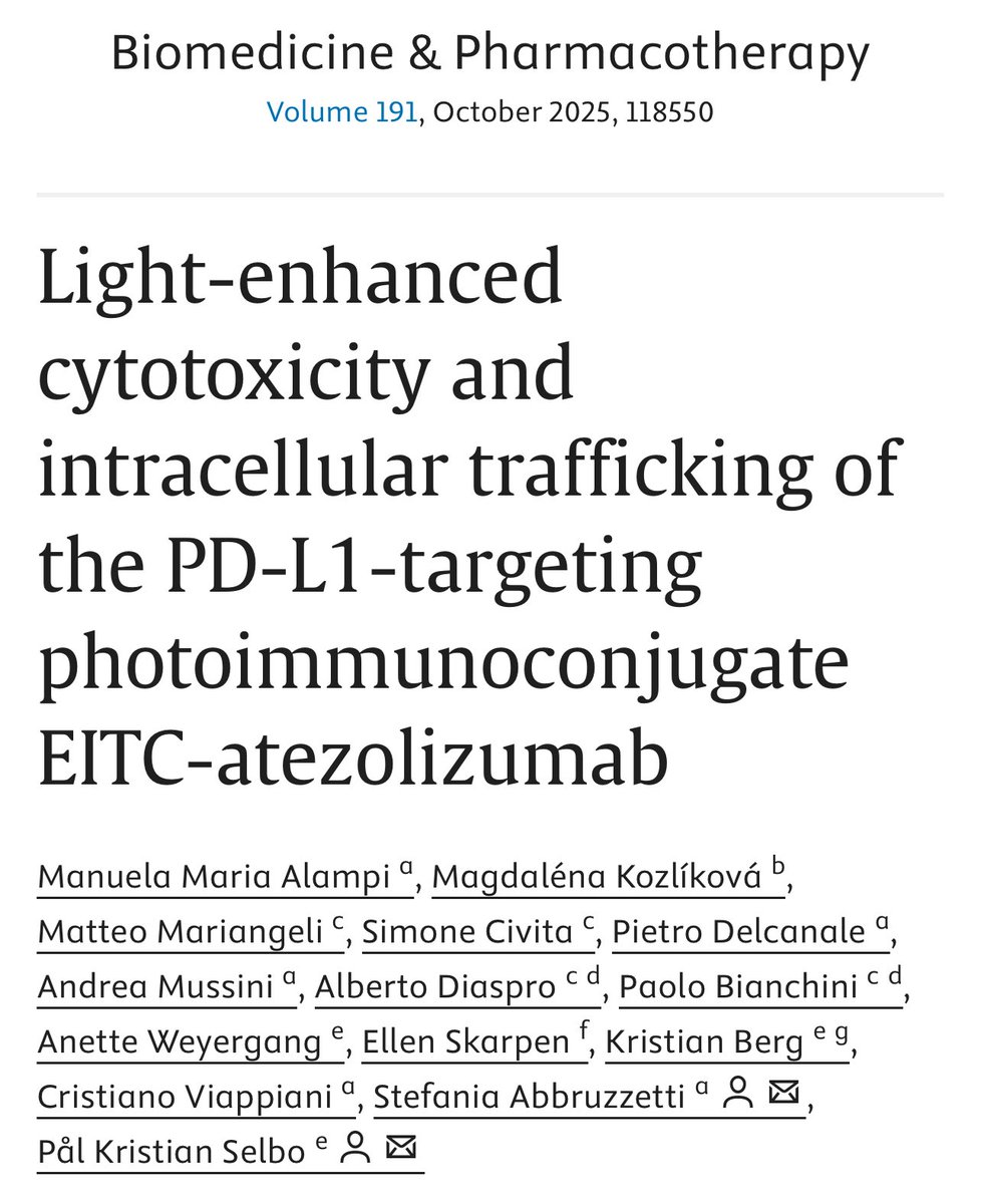 Paper out in Biomedicine &amp; Pharmacotherapy! 🔬
“Light-enhanced cytotoxicity &amp; trafficking of the PD-L1-targeting photoimmunoconjugate EITC-atezolizumab” 👉 doi.org/10.1016/j.biop… Novel: #Atezolizumab clusters w/ #CD63 pos #MVBs #Photoimmunotherapy #lungcancer #Tecentriq #NSCLC