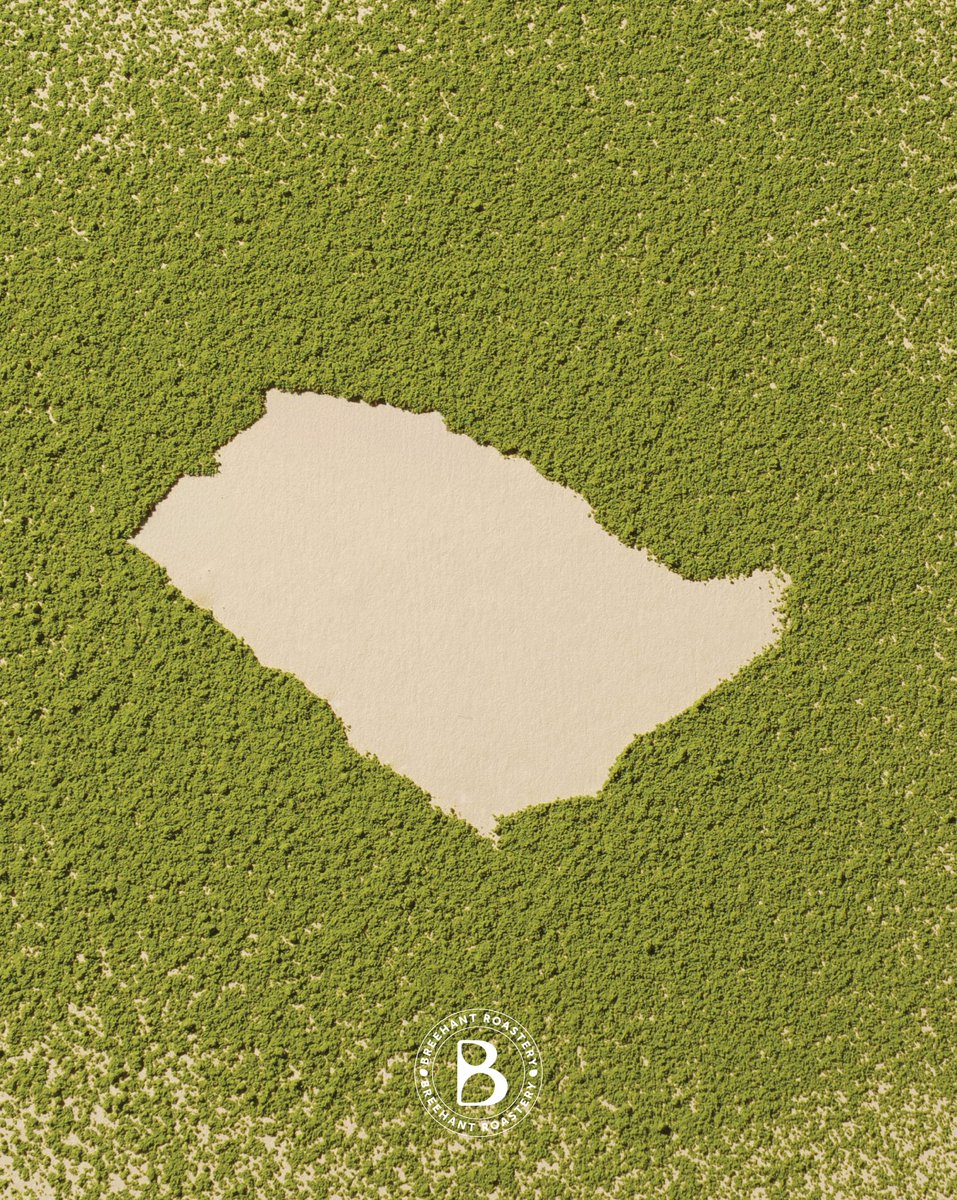 هوية خضراء… أعمق من لون 💚✨

#محمصة_بريهانت #اليوم_الوطني_السعودي_95  #ماتشا