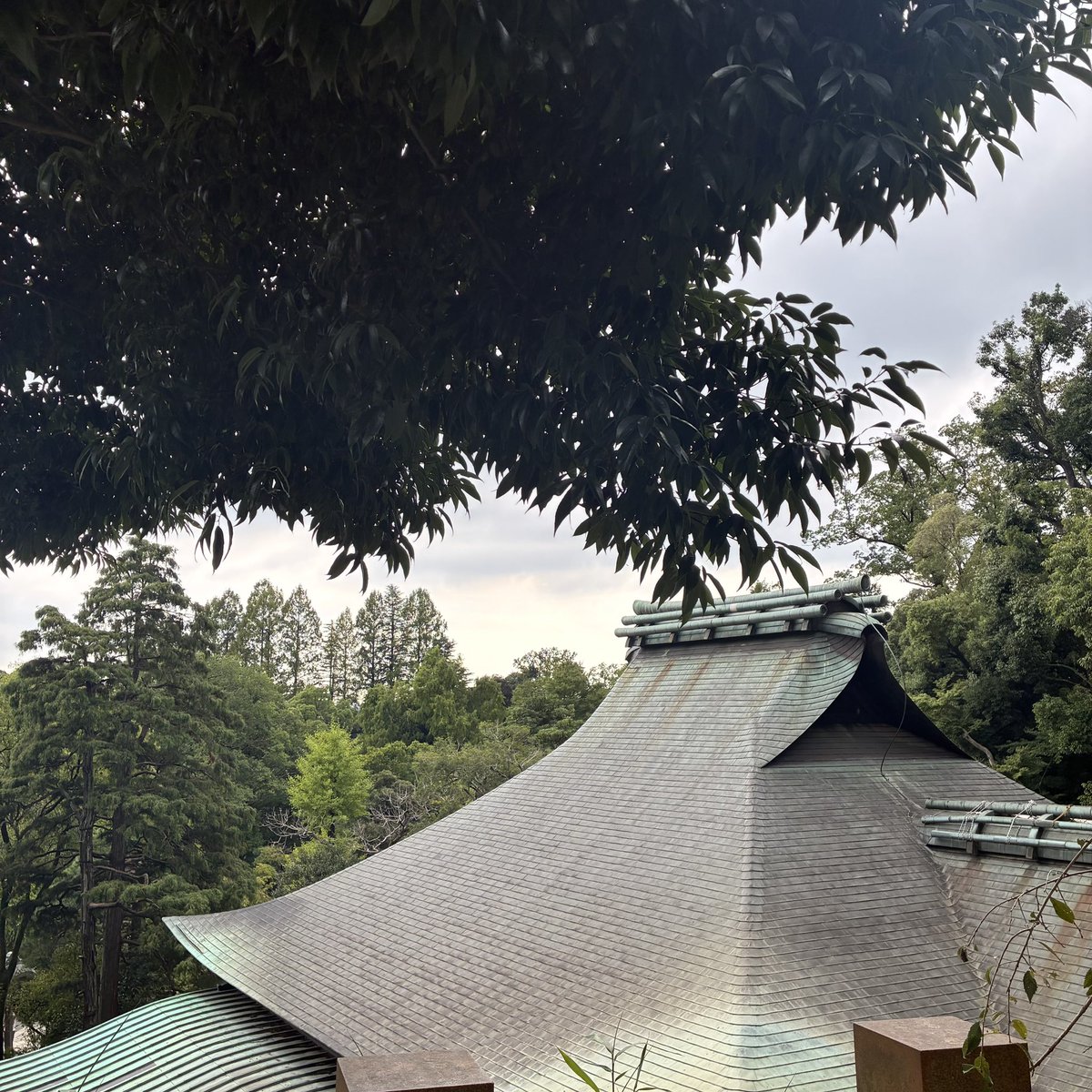 忙しくなる前に
マイナスイオン浴びてきた🌳

#深大寺