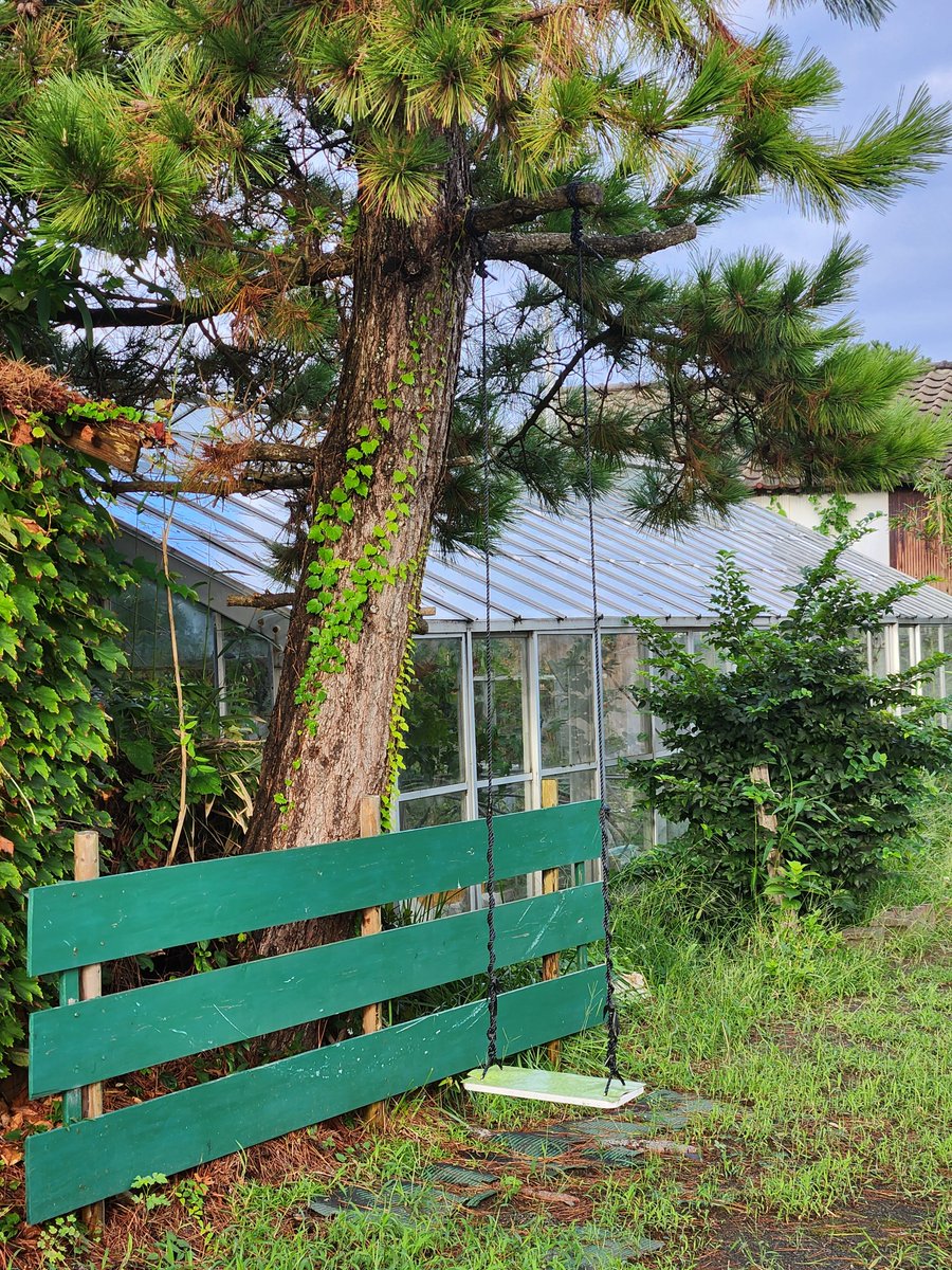 試されるブランコなんだよなぁ