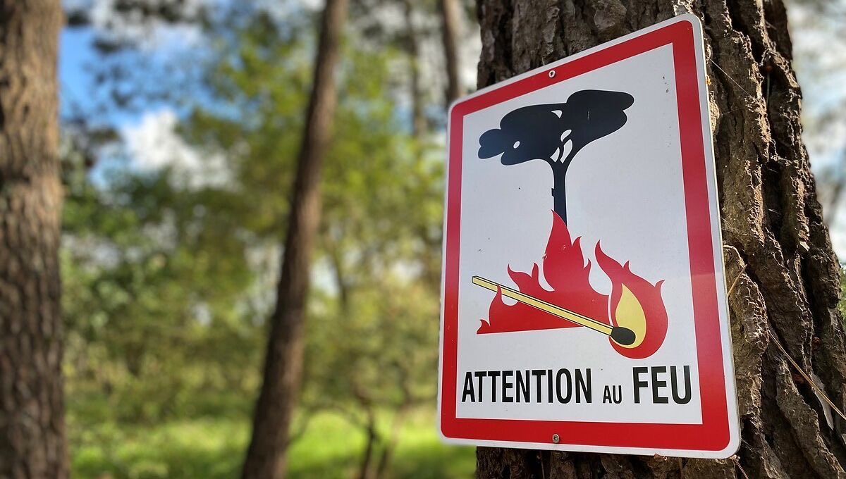 Attention de nombreux écobuages sont recensés ces derniers temps. Nous vous rappelons que les écobuages sont interdits jusqu’au 30 septembre inclus. Merci de respecter et de faire respecter cette interdiction. Attention la Corse est toujours fortement exposée au risque FDF. Merci