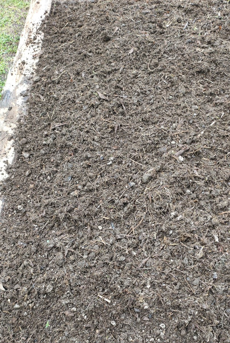 Fertile volcanic soil✅
Coffee grounds✅
Fermented horse shit✅
Liquid seaweed✅
Mulch✅

Realising there's probably more nutritional value in the soil, than the tomatoes I'm going to plant 🫤