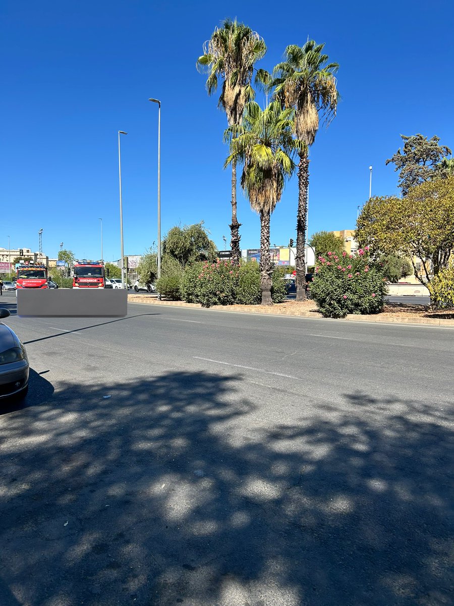 🔴INCIDENTE RONDA URBANA NORTE

Se han desplegado en la zona operativos de <a href="/PoliciaSevilla/">Policía Local de Sevilla</a> y Bomberos para bajar un vehículo de la mediana

Afortunadamente no se lamentan heridos y el tráfico circula ya con normalidad