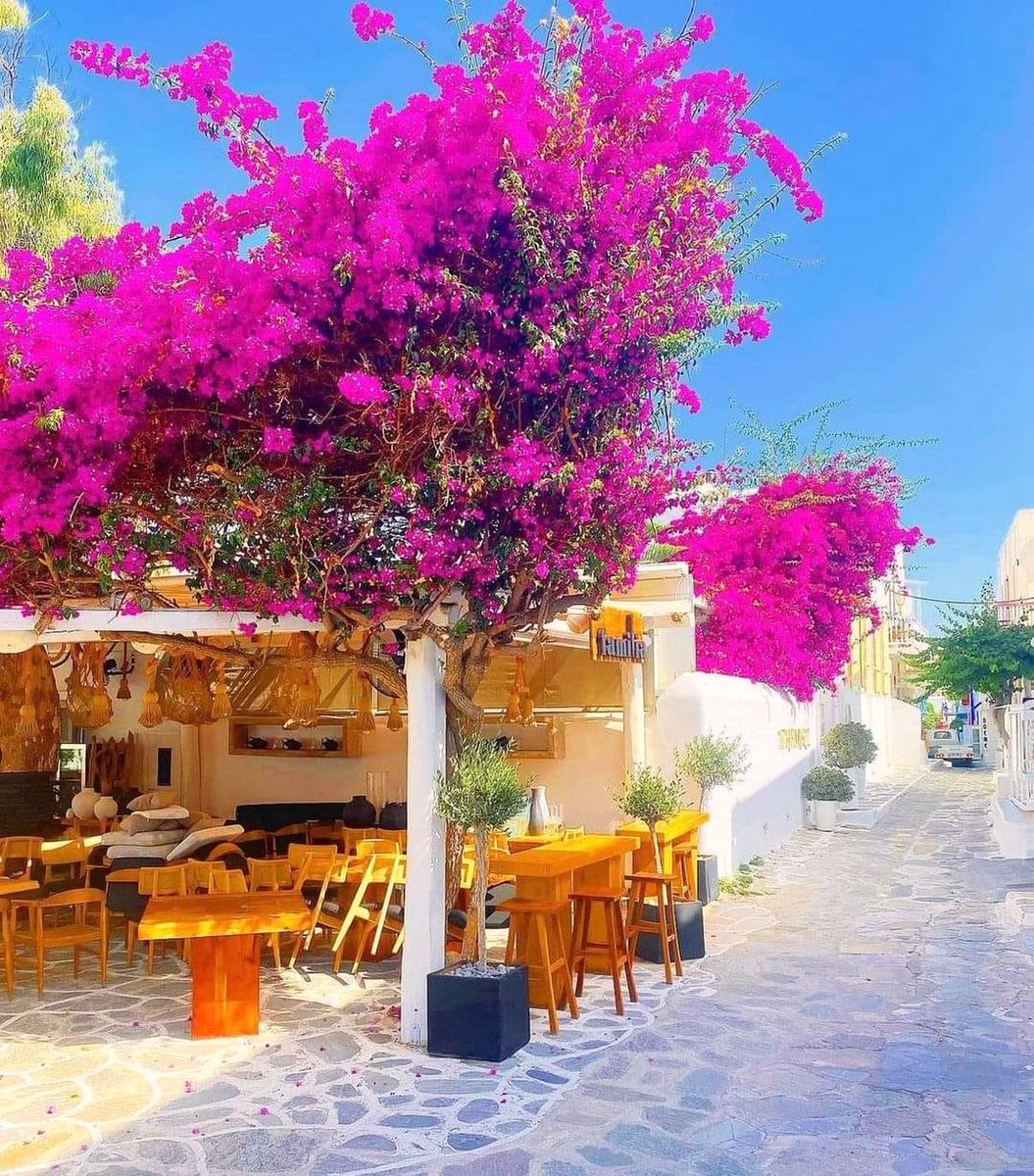 Mykonos island,  Greece