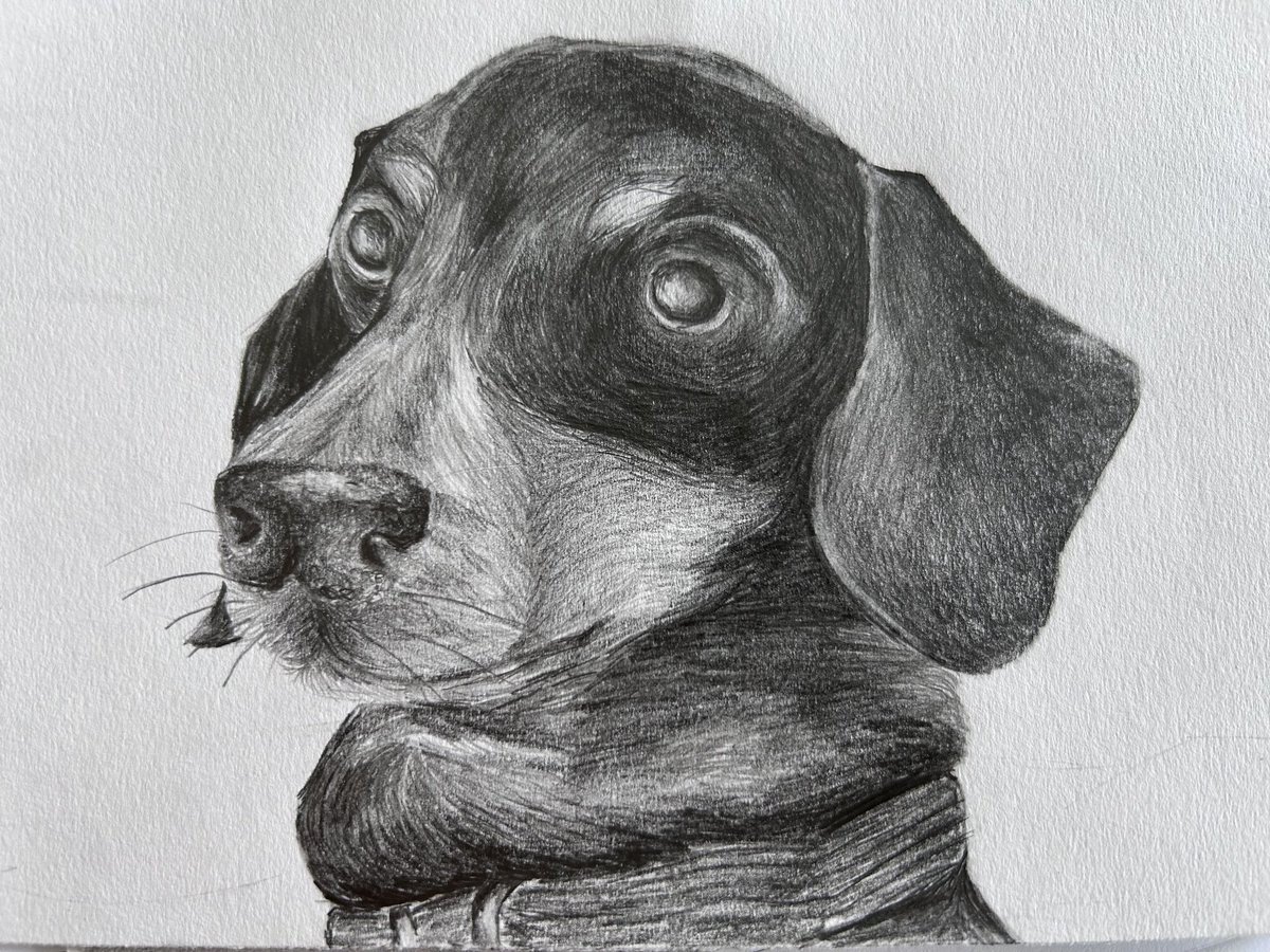 LevenmouthAc's tweet photo. 🎨Art & Design🎨
🎉Pupils of the Week🎉
🌟Emily Waddell S6 AH Soho arch
🌟Sunmer McGregor H Dog Portrait
🌟Maddie Walkingshaw S3 headpiece ideas
🌟Jayden Maguire S2 Character
🌟Eva Fleming S2 Leaf Print
#LevAcART #effort #ambition #responsibility https://t.co/efG51TMOrS