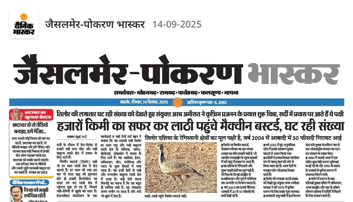 sumitdookia's tweet photo. This sighting of MacQueen's #Bustard is in the news today. It shows how technically an empowered network of local youths under #GIB Mitra program of @and_ecology are helping in species monitoring. This program was started after a gentle push from @GobindsagarBha1 in 2013. https://t.co/qm3h1SekDJ