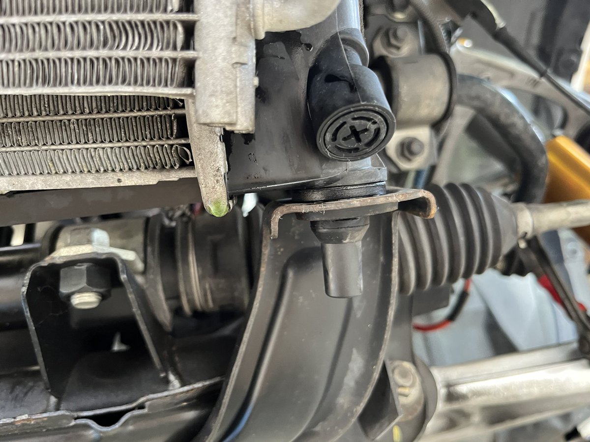 ヨシさん(アラ還) tweet media