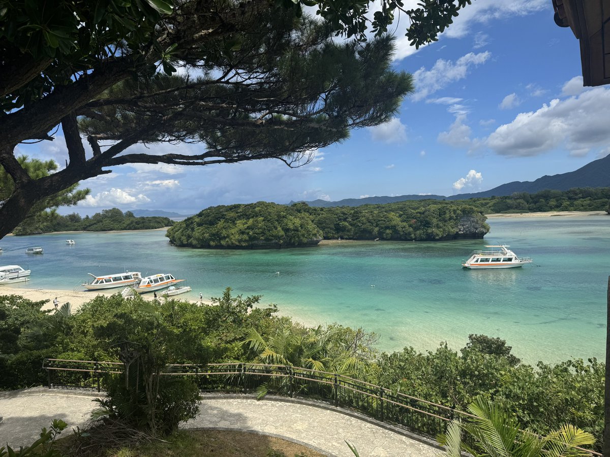 夏休みまた来年行こう
次は1分もしくは10m潜れるように頑張ろ