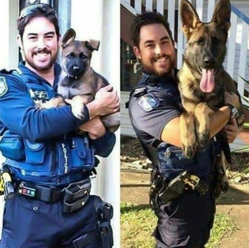 BestinDogs's tweet image. I hope we get a hi.. 🇺🇸