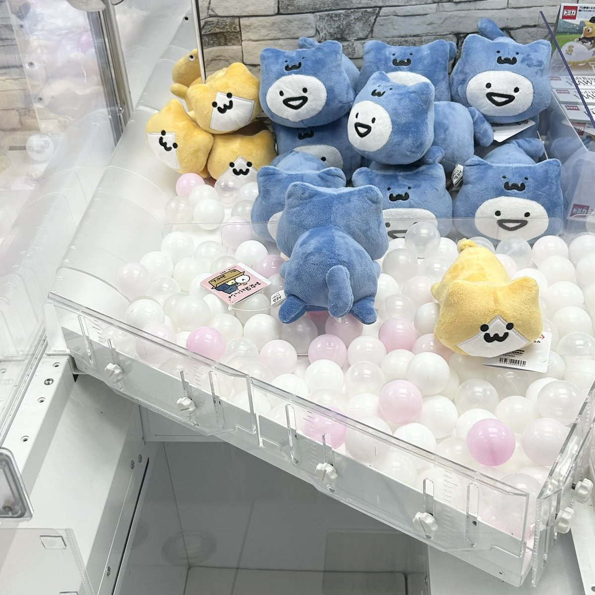 🐈おぶんに、尻尾向けられちゃったので
大人しく退散しました🥹