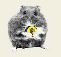 A Hamster that was a crypto streamer, Sounds fake but its real...

Meet Mr. Goxx, a hamster who works out of what is possibly the most high-tech hamster cage in existence.

It's designed so that when Mr. Goxx runs on the hamster wheel, he can select among dozens of