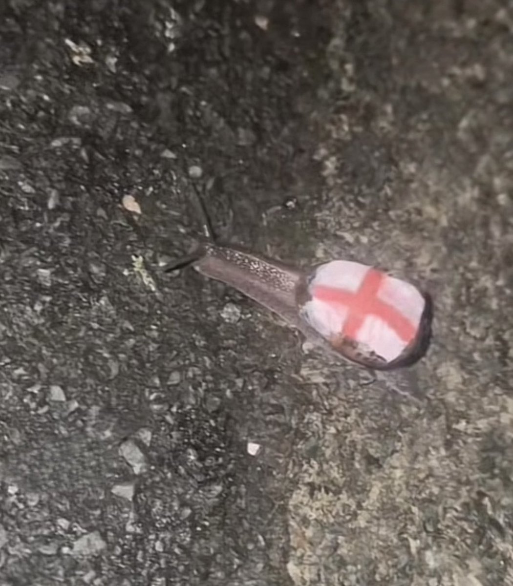 🏴󠁧󠁢󠁥󠁮󠁧󠁿🏴󠁧󠁢󠁥󠁮󠁧󠁿🏴󠁧󠁢󠁥󠁮󠁧󠁿