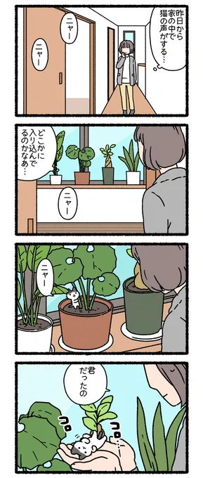 ねこようかい ころぽっくる 