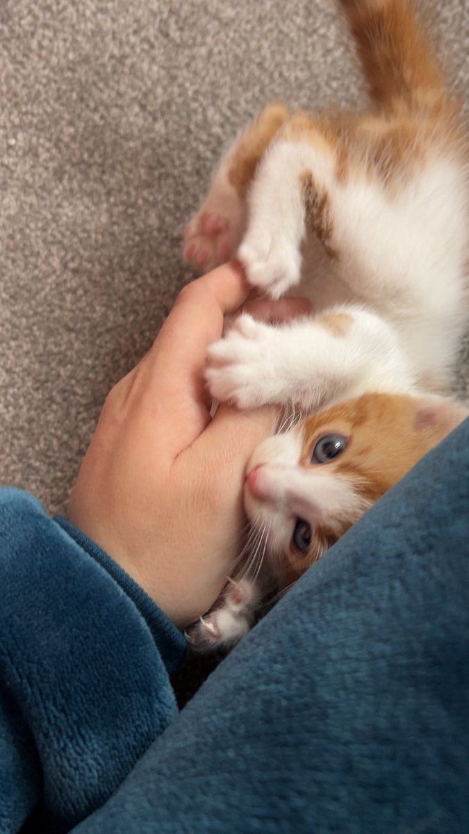 ThatSadBrit's tweet image. Happy:)