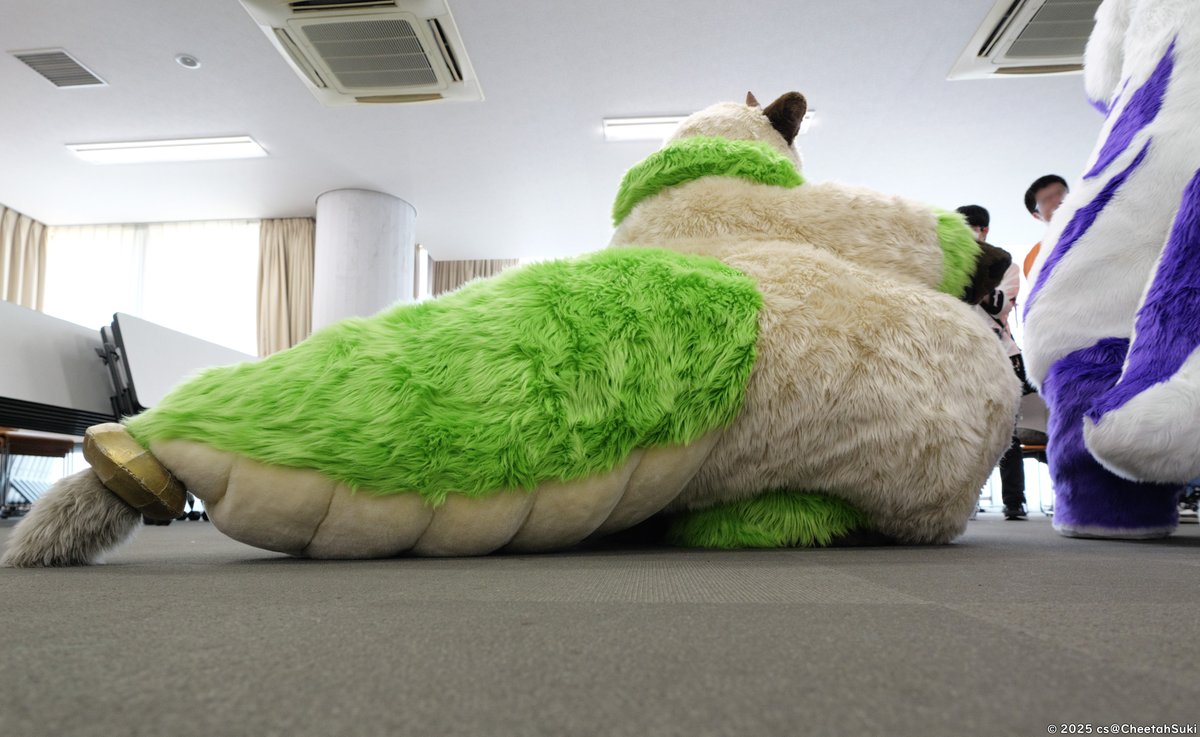 もちもちどっしり
#夢もふ6     

LUMIX DC-GH6       
LEICA DG 10-25mm F1.7