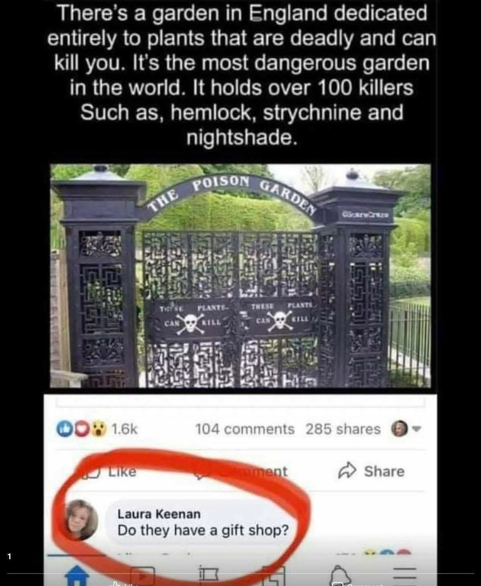 Or can you order online?