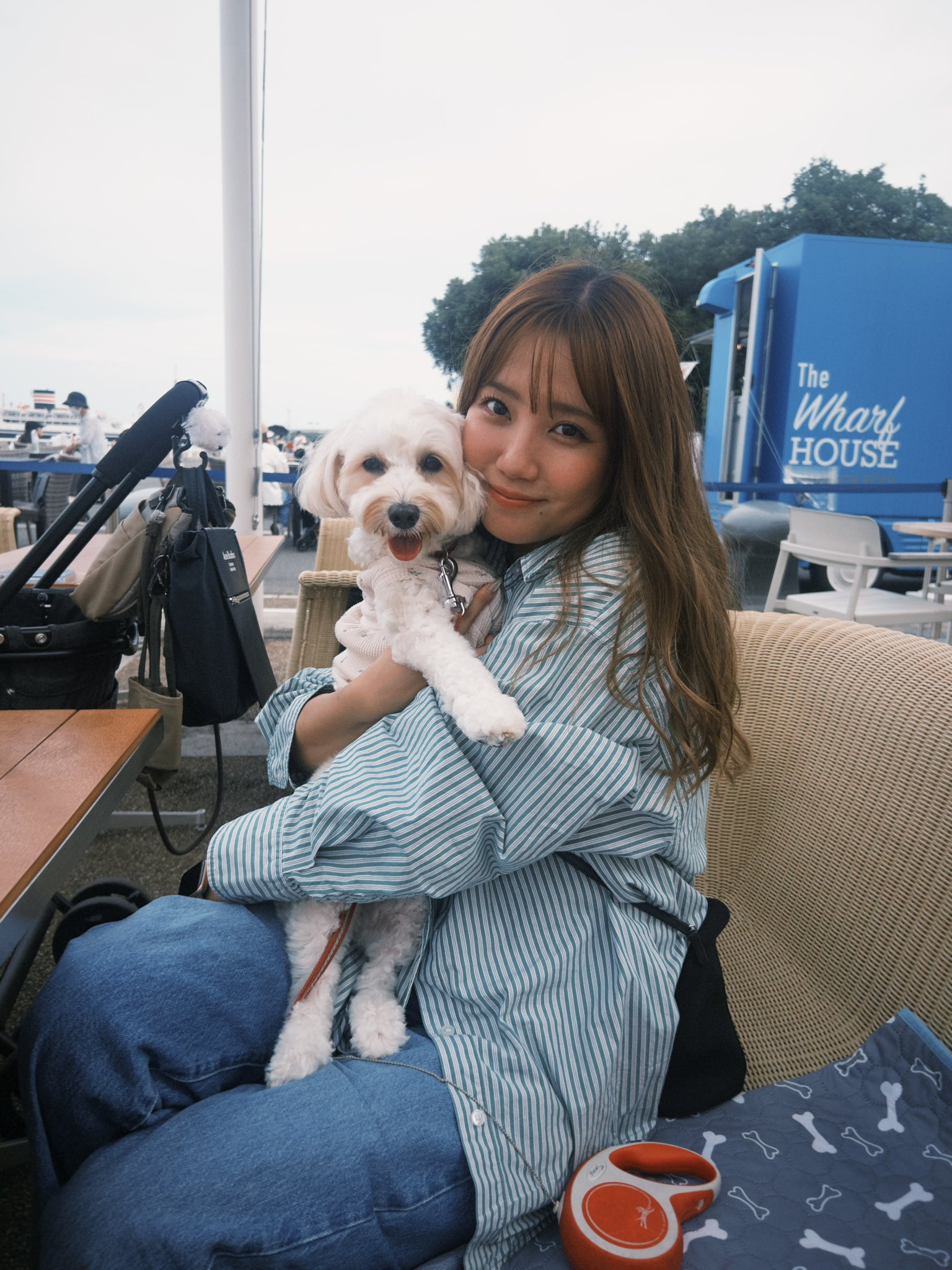 yosshi　　加藤玲奈セット① 加藤玲奈 (@katorena_710) / X