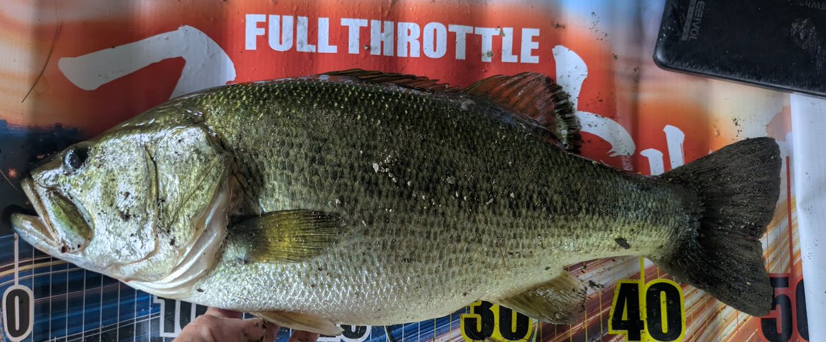 自作釣具のゆうき【公式】 tweet media