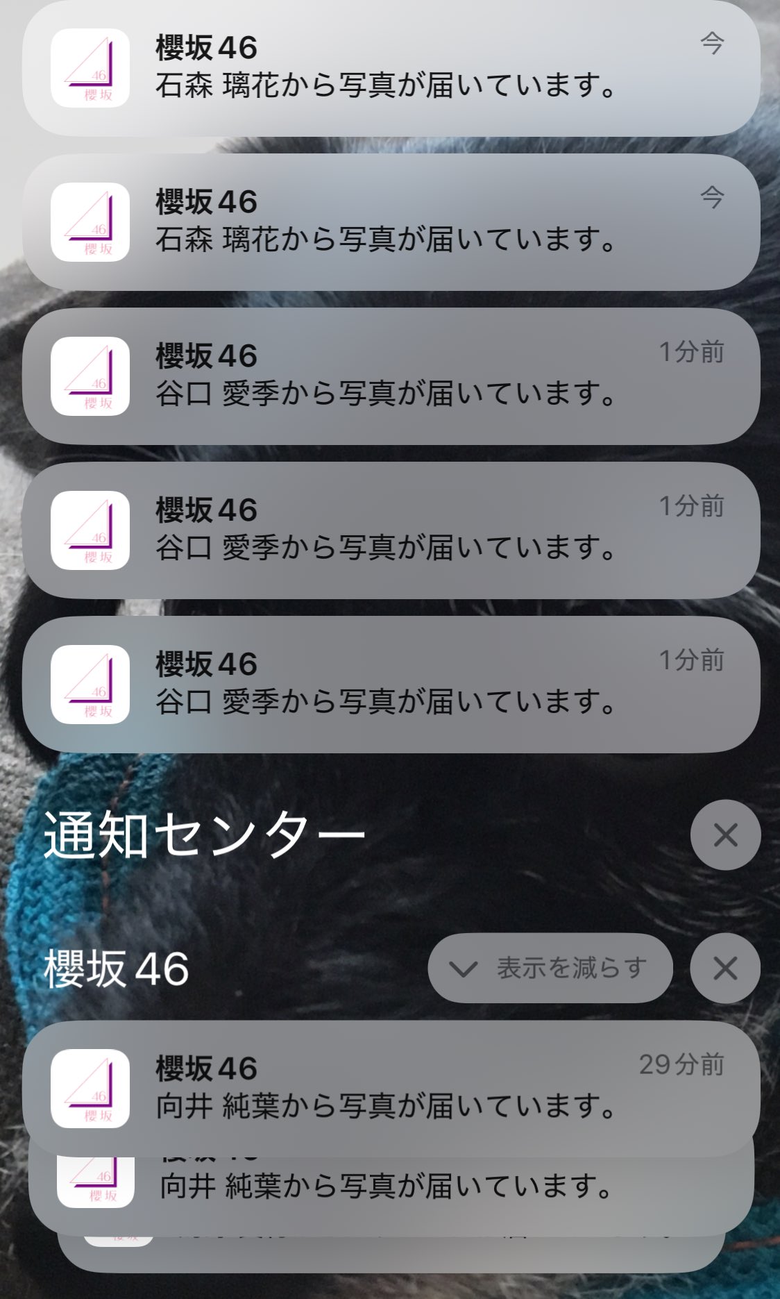 確認(◍˙꒳​˙◍) Amazon | 新品 ホンダ 純正 バイク 部品 ライブディオ F