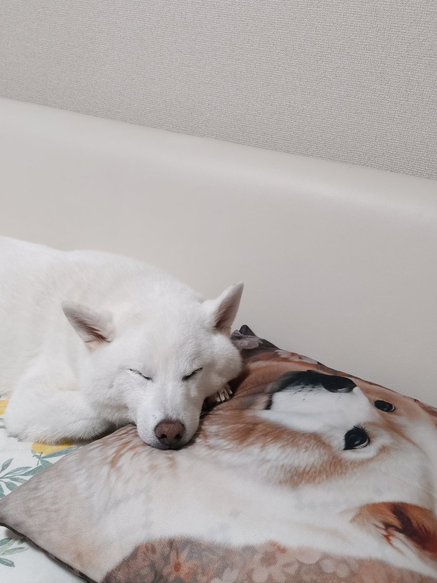 水瓶座♒️ちろ (@xYWsDRmcZE9m1g7) / Posts / X