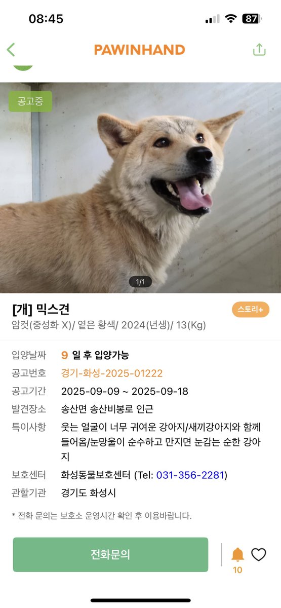 미르라1 tweet media