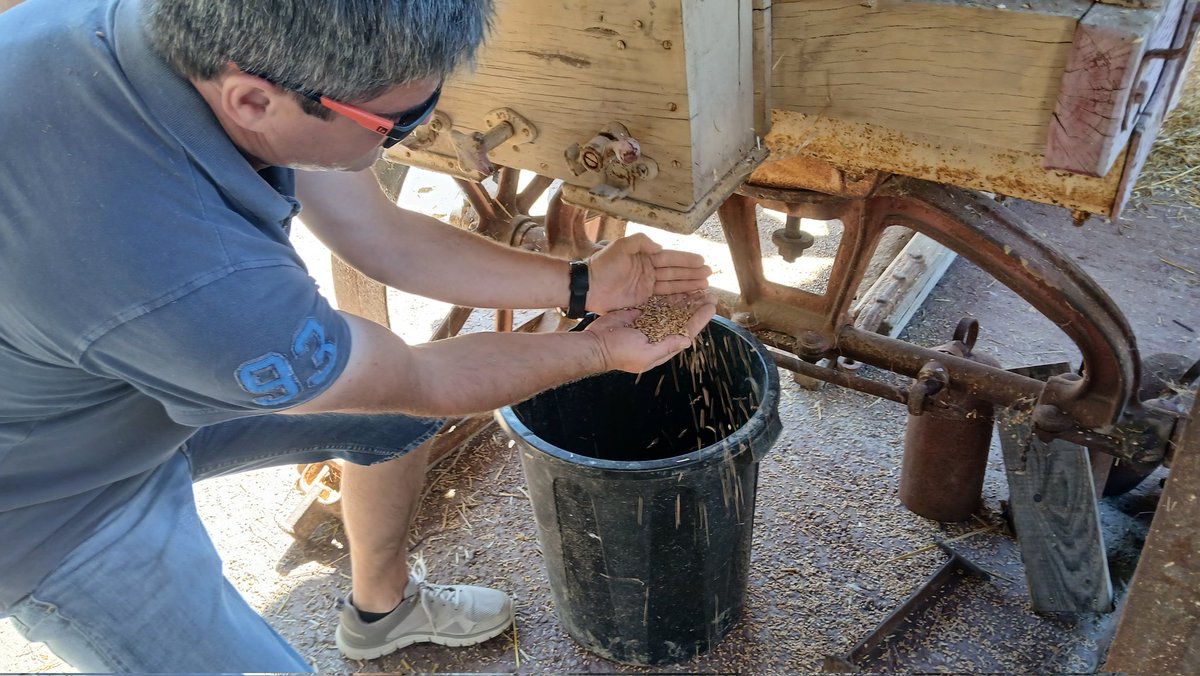 radio_vitoria's tweet image. #Herrian 🎙 Fiesta de la Trilla en La Granja de Arkaia 📍 #Concejo de #Arkaia

📻 Este martes regresa Herrian en plena recolecta de las cosechas 👉 A las 20H en la 104.1 y en  @GUAUgureaudioa