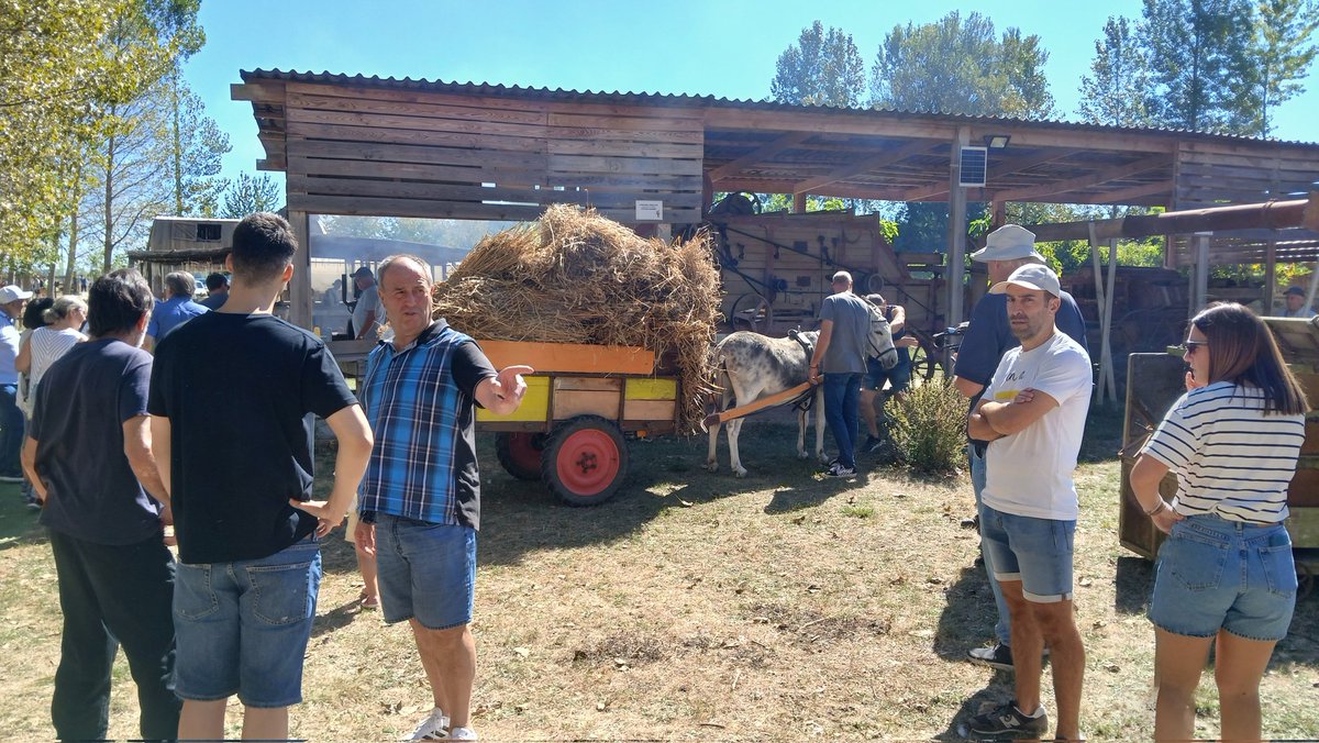 radio_vitoria's tweet image. #Herrian 🎙 Fiesta de la Trilla en La Granja de Arkaia 📍 #Concejo de #Arkaia

📻 Este martes regresa Herrian en plena recolecta de las cosechas 👉 A las 20H en la 104.1 y en  @GUAUgureaudioa