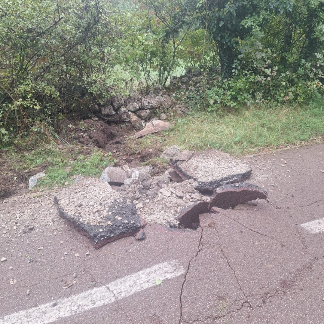 Alpine-Adriatic Meteorological Society tweet media