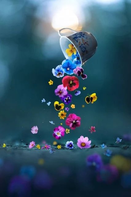 #مساء_الورد 

بعض الكلمات تزرع فيك عِبْرَة
وبعضها تنتزع منك عَبْرَة وبعضها تصنع لك جسراً من الأمل
 تعبر عليه⚓️